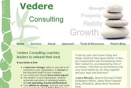 consulting web site design company, marketing and advertising for consulting company